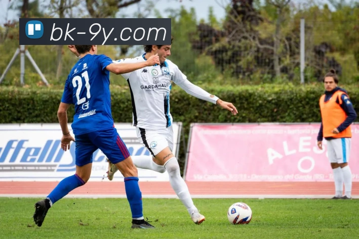 九游官网平台生态图