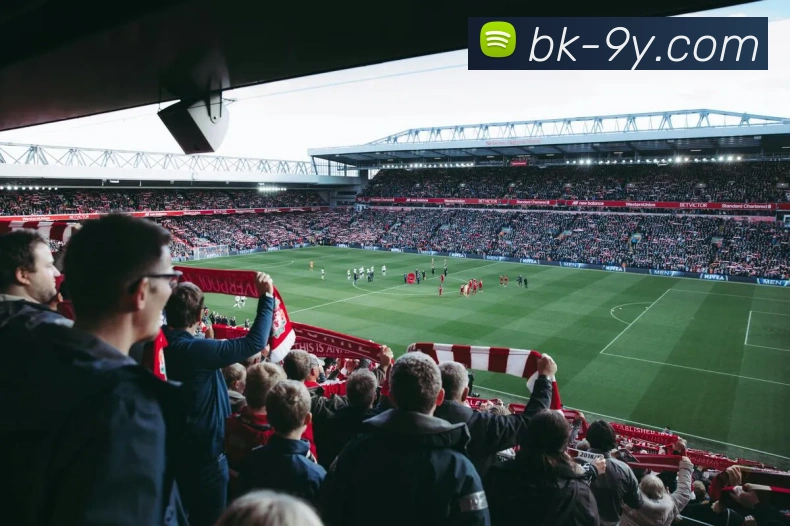 九游官网APP 封面图